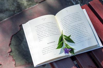 環(huán)境與資源保護(hù)法學(xué)在職研究生招生常見問題